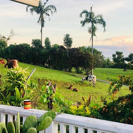 アピア Apaula Heights Lounge Bed & Breakfast エクステリア 写真