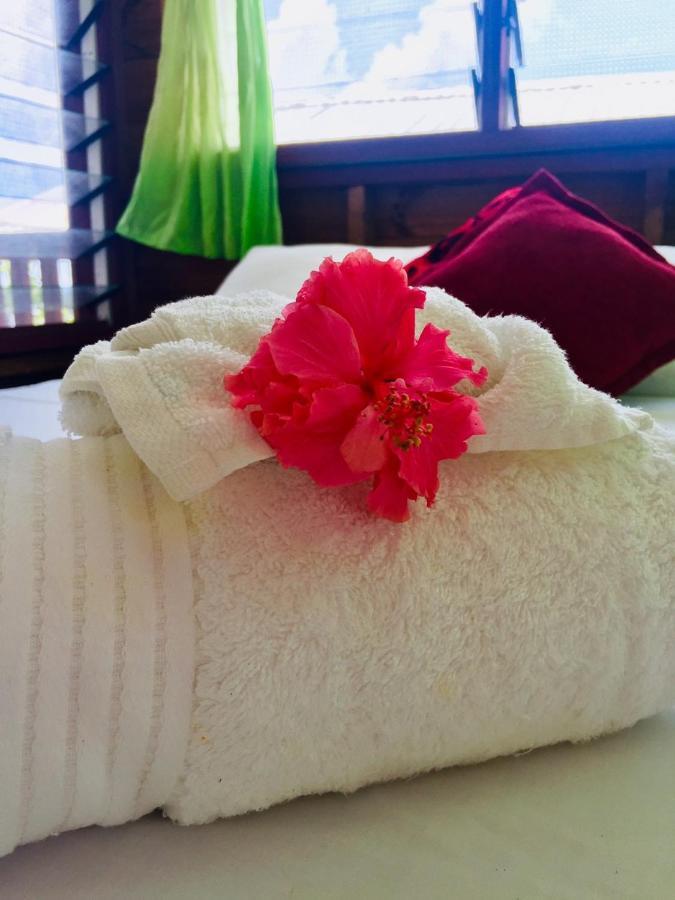アピア Apaula Heights Lounge Bed & Breakfast エクステリア 写真