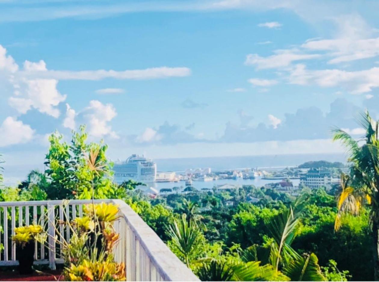 アピア Apaula Heights Lounge Bed & Breakfast エクステリア 写真